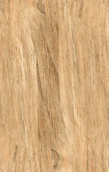Woodgrain Trendy