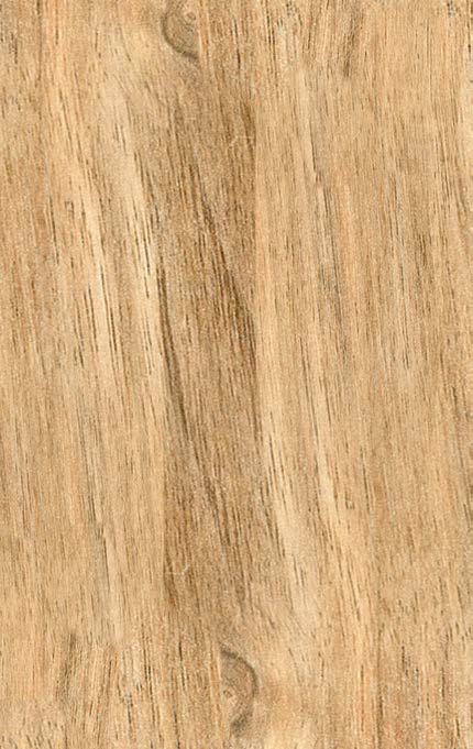 Woodgrain Trendy